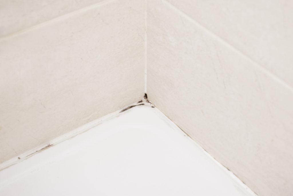 mould-in-grout