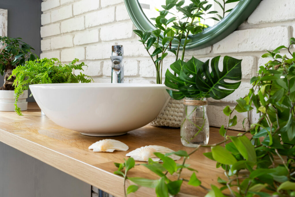 best-plants-for-bathroom-smells