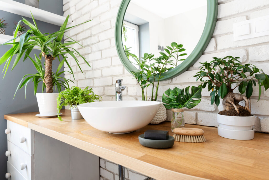 plants on wooden counter