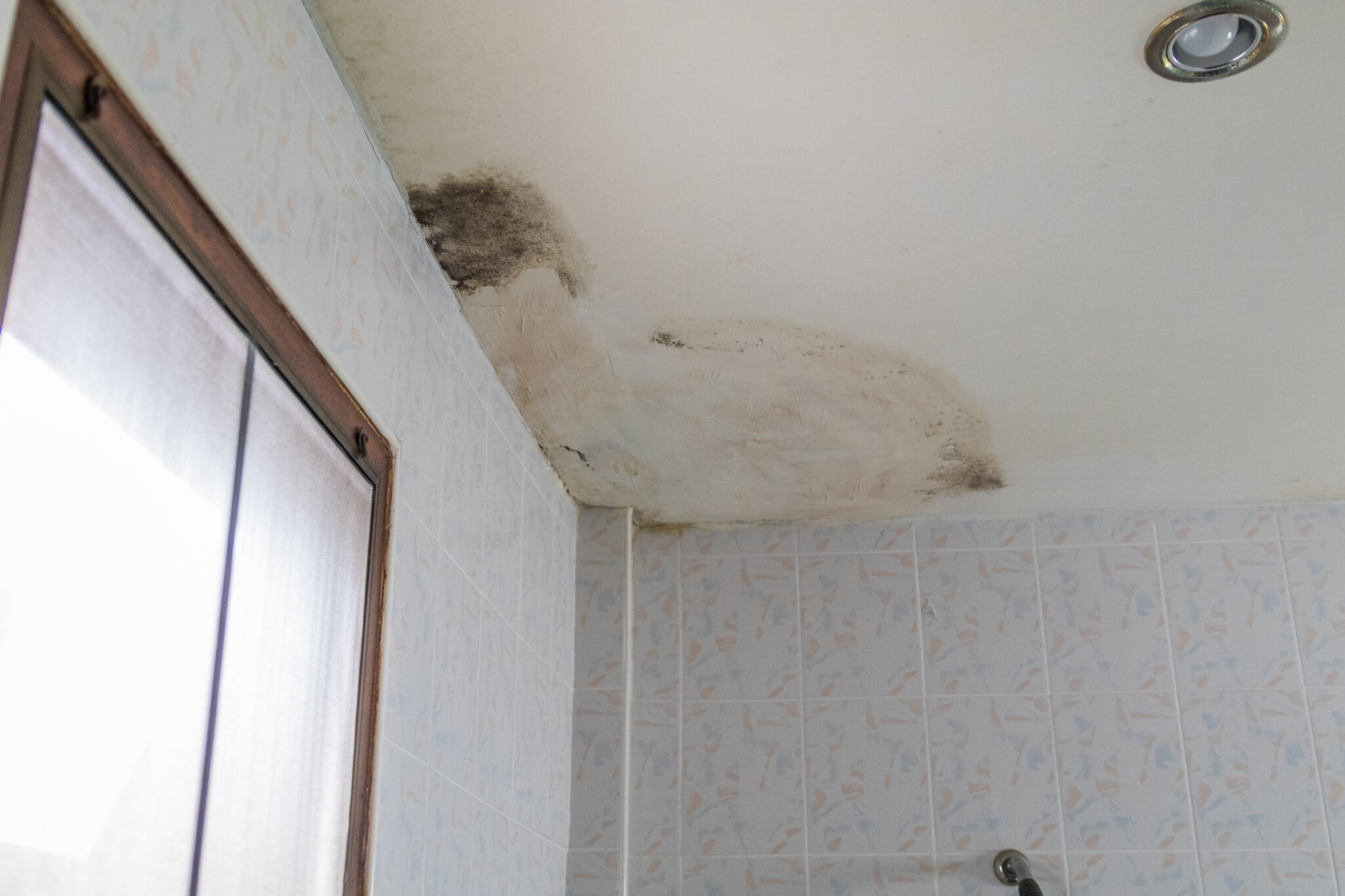 mold in bathroom ceiling harmful