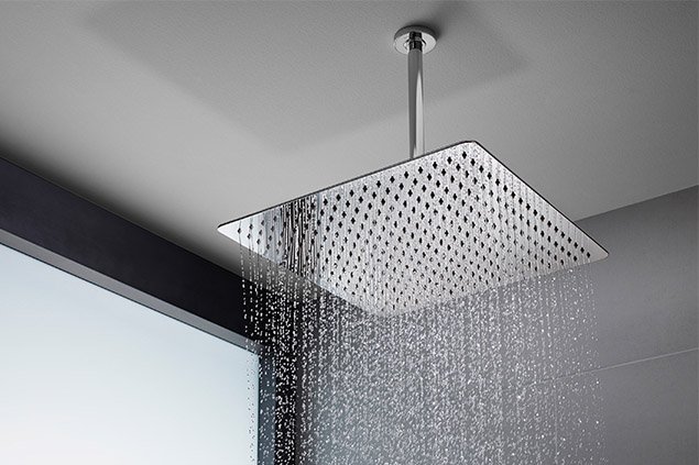 ceiling-shower-head-with-arm