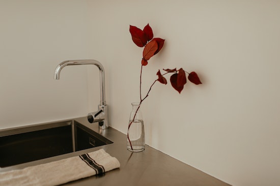 extreme minimalist kitchen sink