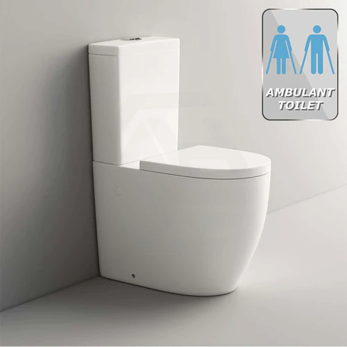 ambulant toilet meaning