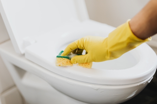 how to clean a bidet australia