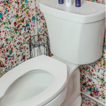 toilet with background decor