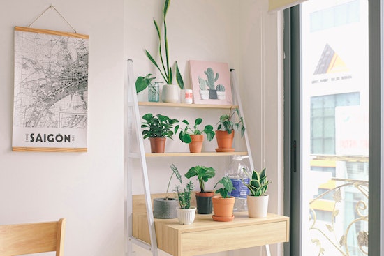 home indoor plant stand