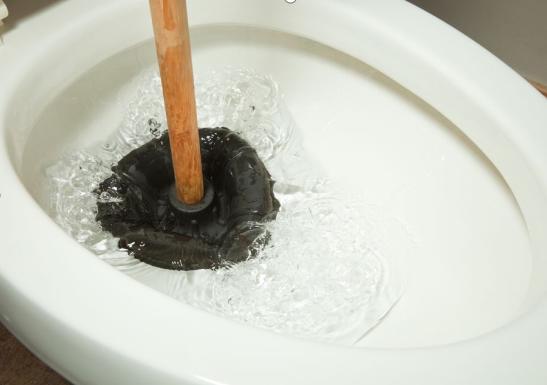how to use a toilet plunger to clean your toilet
